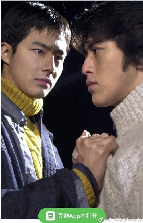 钢琴别恋在线观看_电视剧钢琴别恋_1993年电影钢琴别恋