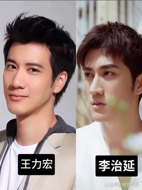 娱乐圈撞脸的明星相似度_娱乐圈的撞脸_娱乐圈撞脸图