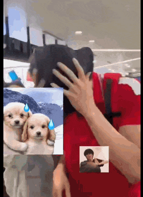 51吃瓜陈建州,_51吃瓜陈建州,_51吃瓜陈建州,